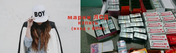 дживик Осташков