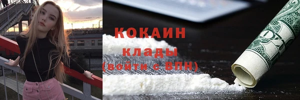 дживик Осташков