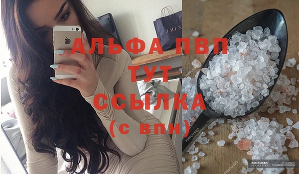 дживик Осташков