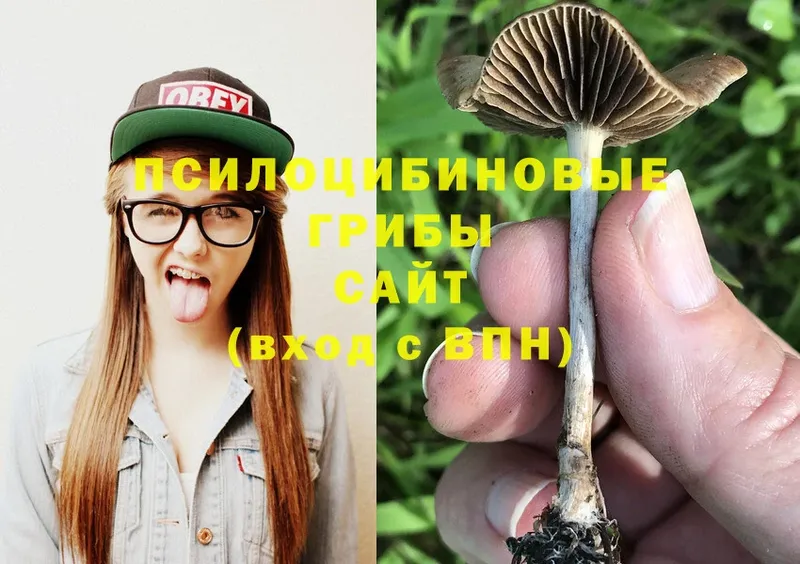 Псилоцибиновые грибы GOLDEN TEACHER  Кудымкар 