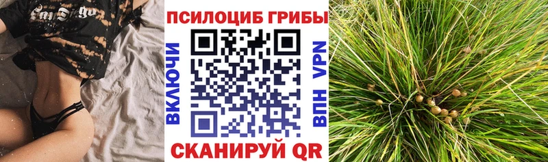 MEGA ССЫЛКА  Кудымкар  Галлюциногенные грибы ЛСД 