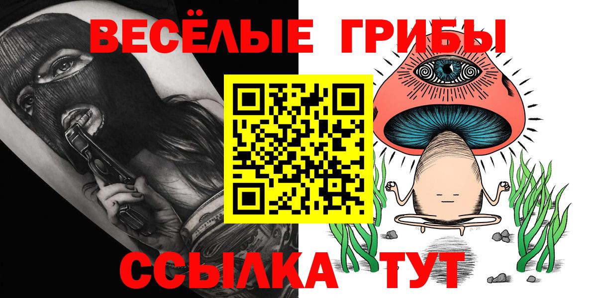 купить наркотик  Вход с VPN  Кудымкар  Галлюциногенные грибы Magic Shrooms 