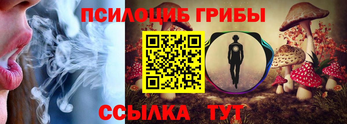 Галлюциногенные грибы Psilocybe Кудымкар