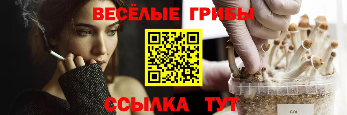 Галлюциногенные грибы MAGIC MUSHROOMS Кудымкар
