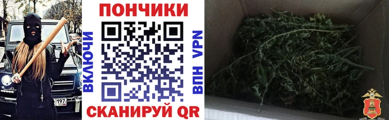 Бошки марихуана OG Kush  Кудымкар 