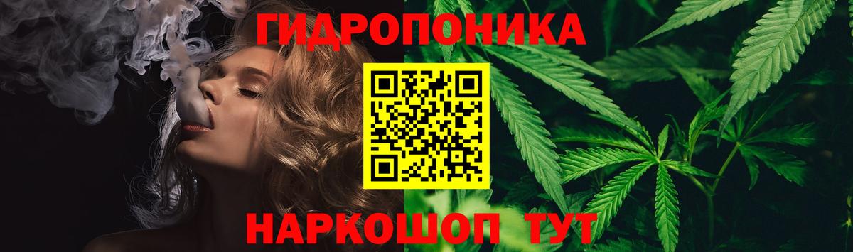 Канабис Amnesia  Канабис Amnesia  Вход с VPN  Кудымкар  Бошки марихуана тримм  Конопля тримм 